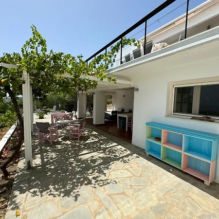 Icon Painter Main Apartment